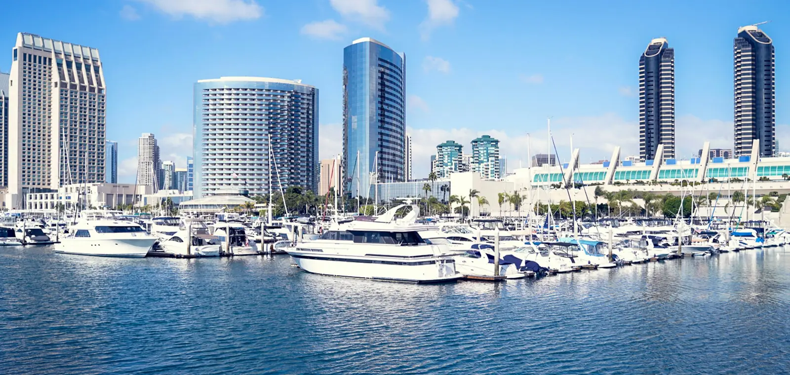 Downtown San Diego marina with yachts and waterfront towers