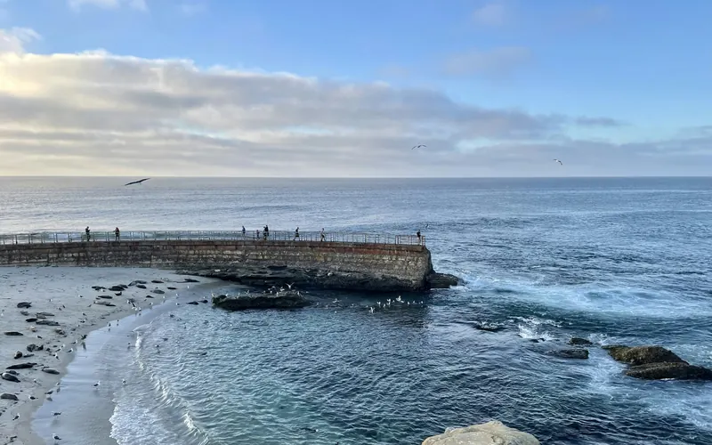 Seawall and beach along the La Jolla coastline